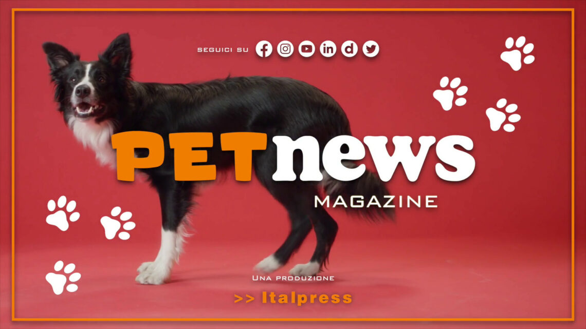 PetNews Magazine – 5/9/2023 PetNews Magazine – 5/9/2023