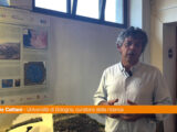 I “Sesi” e l’antica storia di Pantelleria al museo di Punta Spadillo