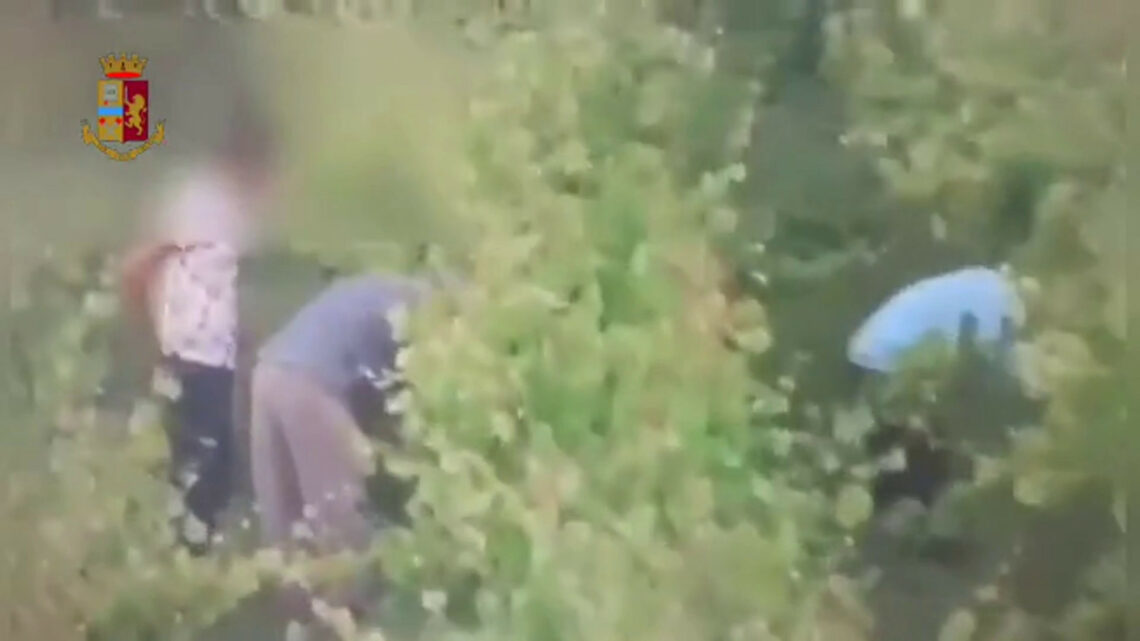 Arrestati a Cagliari cinque stranieri per sfruttamento del lavoro nero Arrestati a Cagliari cinque stranieri per sfruttamento del lavoro nero