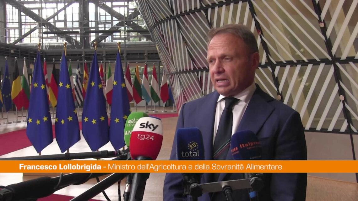 Agricoltura, Lollobrigida “Ue difenda asset strategico” Agricoltura, Lollobrigida “Ue difenda asset strategico”