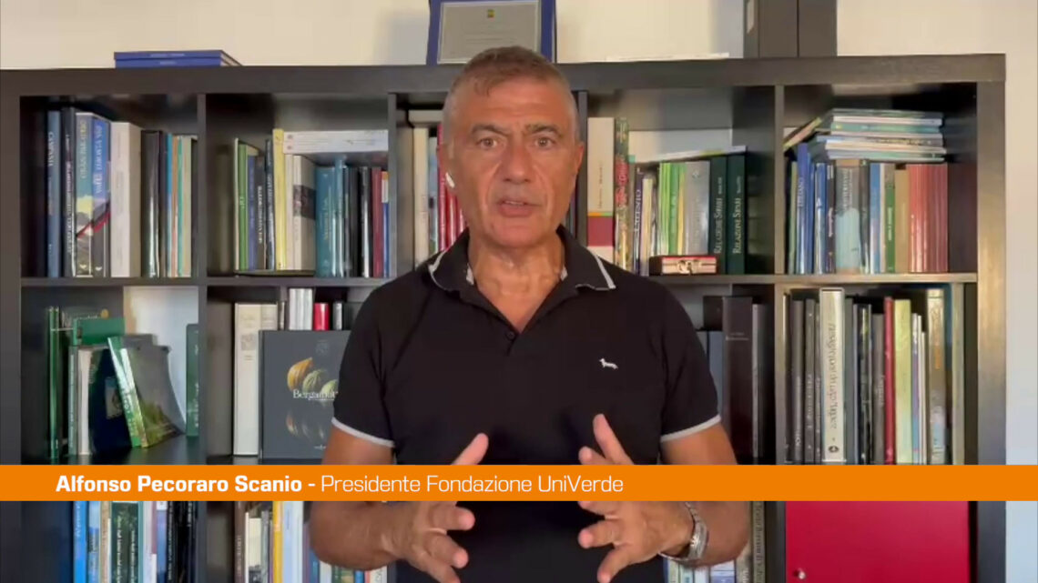 Pecoraro Scanio “Dedicheremo a De Masi i corsi EcoDigital” Pecoraro Scanio “Dedicheremo a De Masi i corsi EcoDigital”