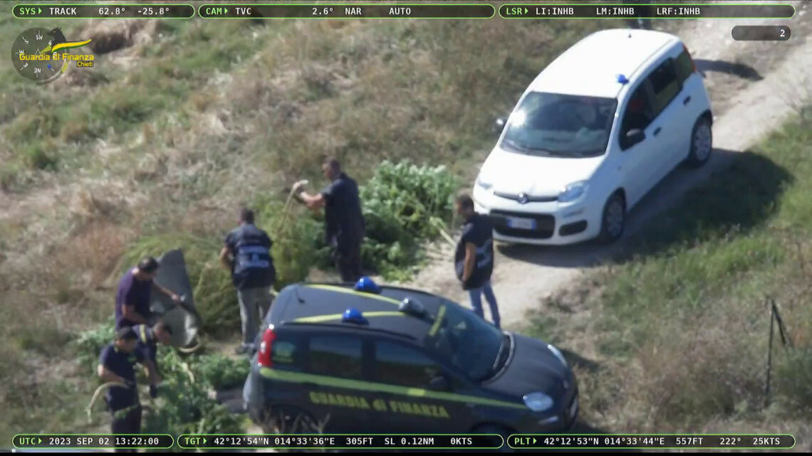 Piantagione di marijuana sequestrata in provincia di Chieti Piantagione di marijuana sequestrata in provincia di Chieti