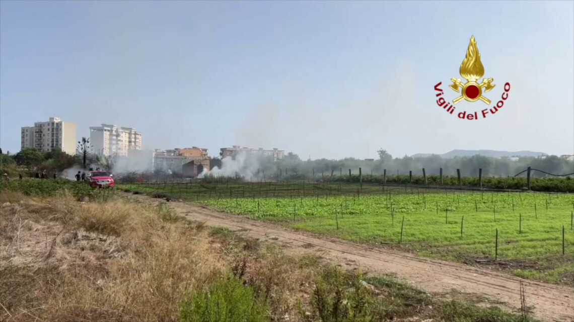 Fiamme in un canneto a Palermo, vigili del fuoco in azione Fiamme in un canneto a Palermo, vigili del fuoco in azione