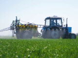 Le imprese agroalimentari accelerano su green e tecnologia