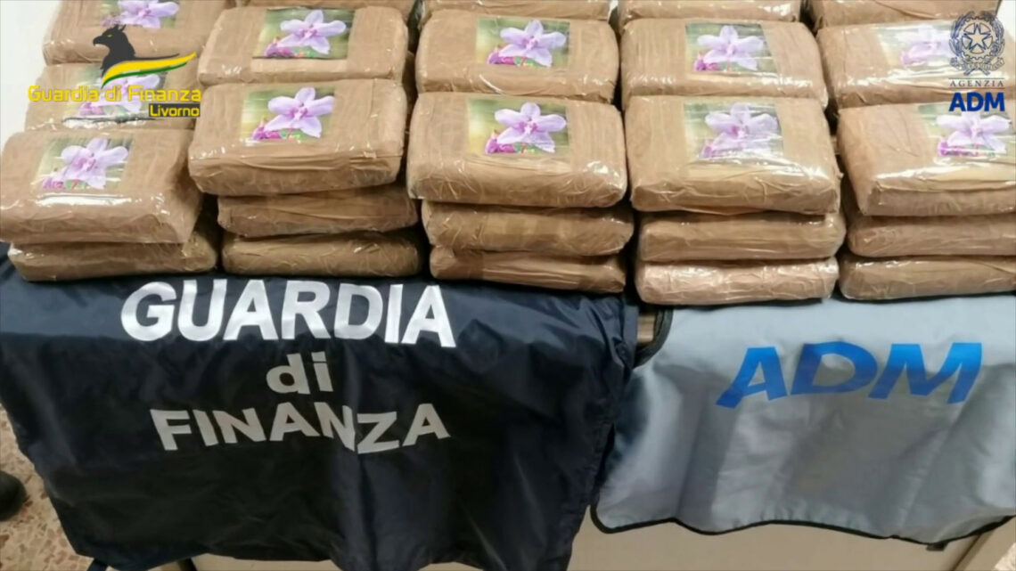 Livorno, sequestrati 48,5 kg di cocaina provenienti dal Sud-America Livorno, sequestrati 48,5 kg di cocaina provenienti dal Sud-America