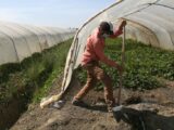 Accordo Italia-Tunisia per 4mila lavoratori anno non stagionali