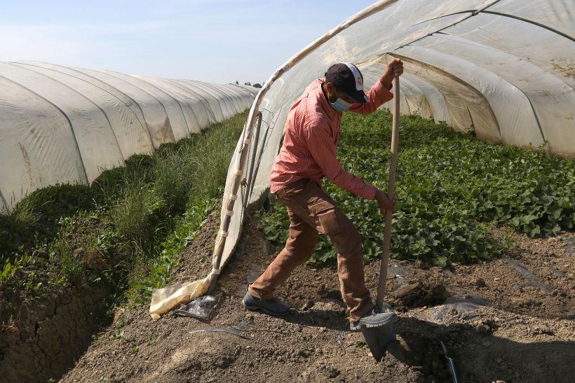 Accordo Italia-Tunisia per 4mila lavoratori anno non stagionali Accordo Italia-Tunisia per 4mila lavoratori anno non stagionali