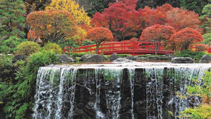 Koyo: la bellezza delle foglie autunnali a Tokyo