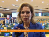 Medio Oriente, Rondinelli “Europa si impegni per un percorso di pace”