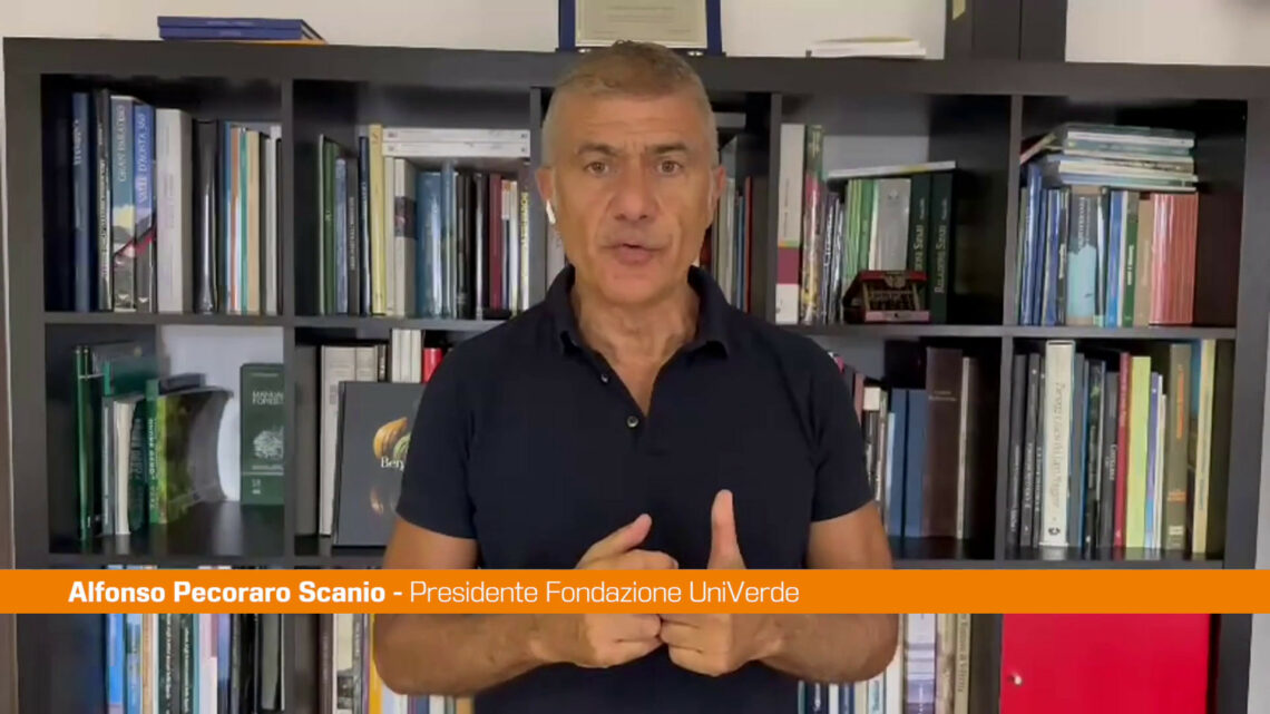 Pecoraro Scanio “Serve legge sul clima e commissariato ad hoc” Pecoraro Scanio “Serve legge sul clima e commissariato ad hoc”