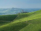 Langhe, un itinerario tra enogastronomia, borghi e paesaggi magici