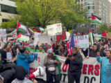 In migliaia manifestano a Washinton in favore della Palestina