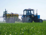 Sviluppo agroindustriale, via libera Ue al piano italiano