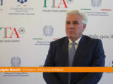 Bocchi “Negli States la nautica italiana migliora di anno in anno”
