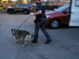 ‘Ndrangheta, furto di auto e spaccio. Sgominata banda a Milano