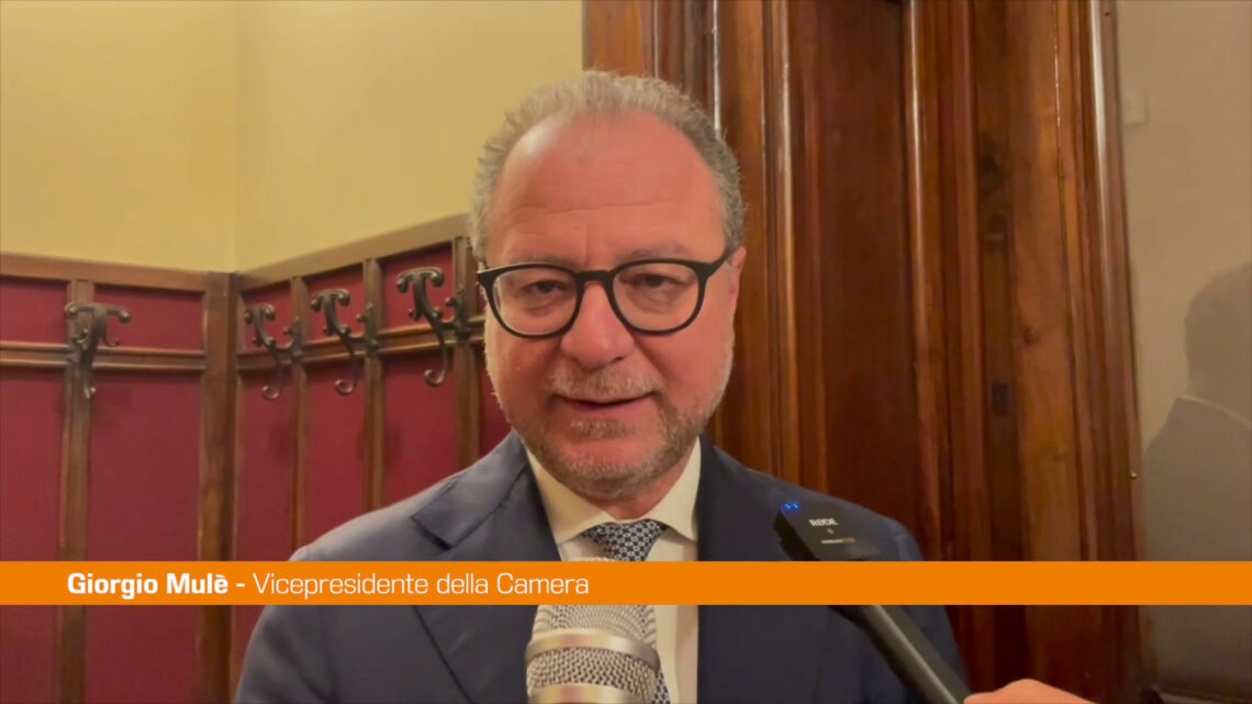 Diabete, Mulè “Con la legge 130 approccio nuovo alla malattia” Diabete, Mulè “Con la legge 130 approccio nuovo alla malattia”