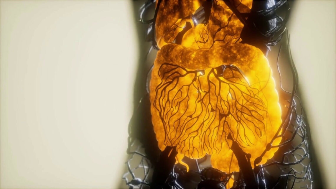 Una terapia genica contro le metastasi epatiche Una terapia genica contro le metastasi epatiche