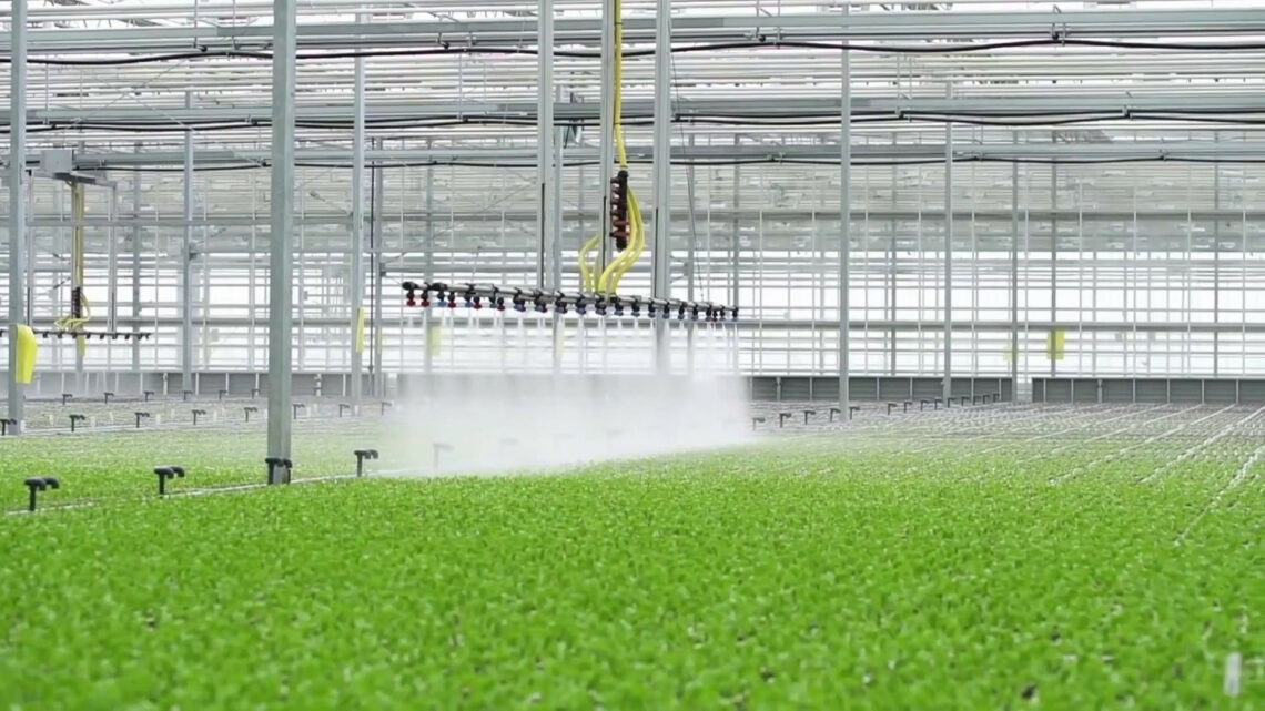 Agroalimentare, raddoppiano le risorse del Pnrr Agroalimentare, raddoppiano le risorse del Pnrr