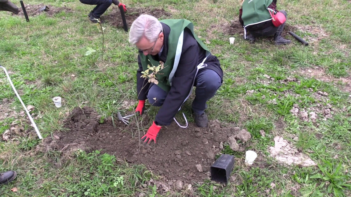 Al via progetto di riforestazione da Torino Al via progetto di riforestazione da Torino