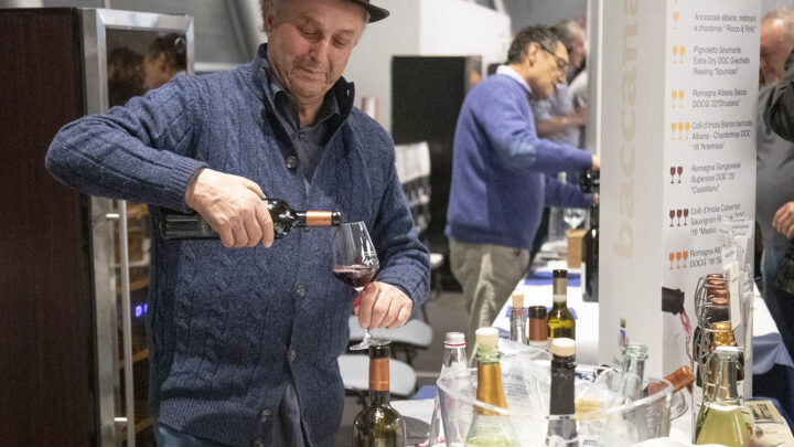 Baccanale di Imola, grande successo per la 29esima edizione dedicata al Mediterraneo