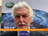 Pepori (ANIMP) “Sezione internazionalizzazione centrale per imprese”