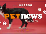 PetNews Magazine – 21/11/2023