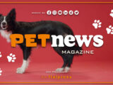 PetNews Magazine – 28/11/2023