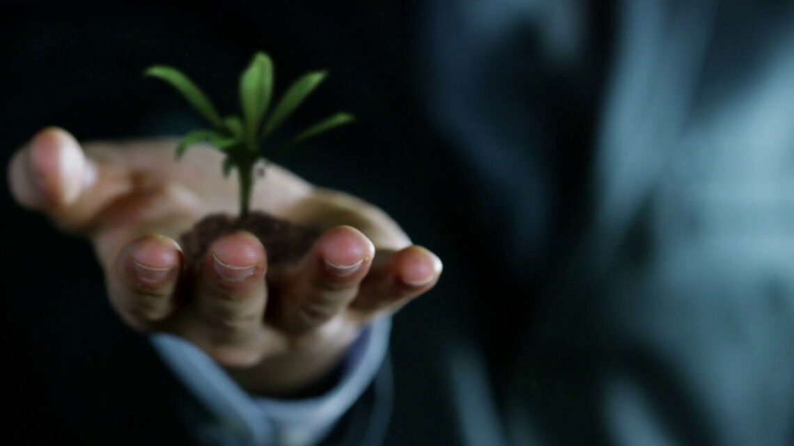 Le imprese investono di più sulla green economy Le imprese investono di più sulla green economy