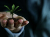Le imprese investono di più sulla green economy