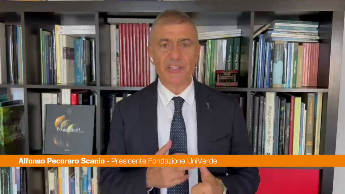 Pecoraro Scanio ”Frane e alluvioni non si fermano col 0,5% del Pnrr” Pecoraro Scanio ”Frane e alluvioni non si fermano col 0,5% del Pnrr”