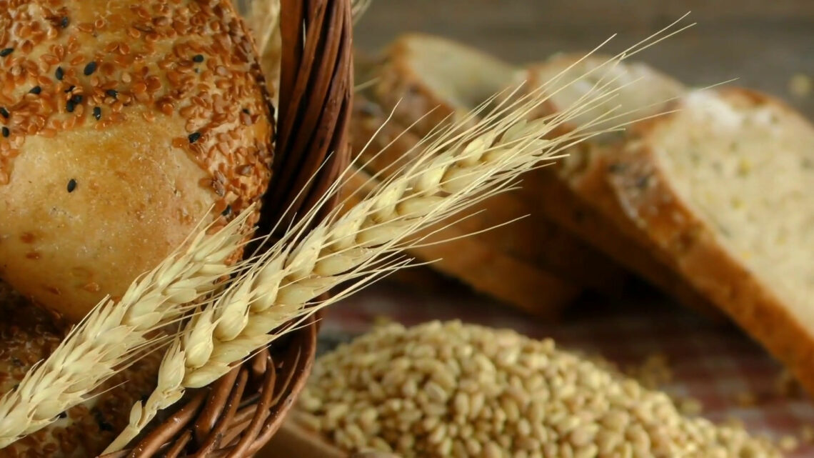 Una cabina di regia per i controlli sull’import del grano duro Una cabina di regia per i controlli sull’import del grano duro