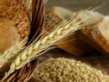 Una cabina di regia per i controlli sull’import del grano duro