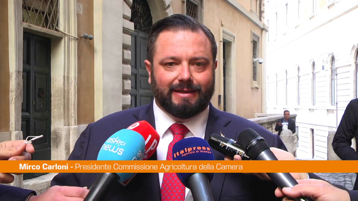 Carloni “Il biometano è un’opportunità per le imprese agricole” Carloni “Il biometano è un’opportunità per le imprese agricole”
