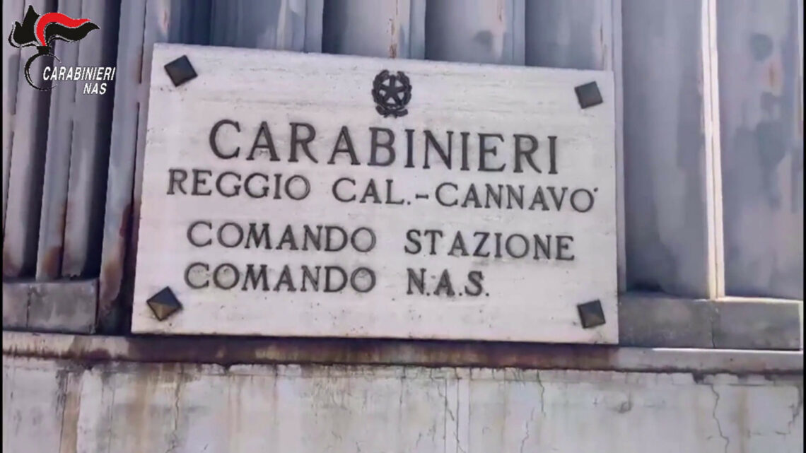 Reggio Calabria, sequestro di salumi e carne per due tonnellate Reggio Calabria, sequestro di salumi e carne per due tonnellate
