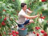 Agroalimentare, i costi nascosti valgono il 10% del Pil mondiale