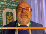 Loiodice “L’olio ha un valore sociale e non solo economico”