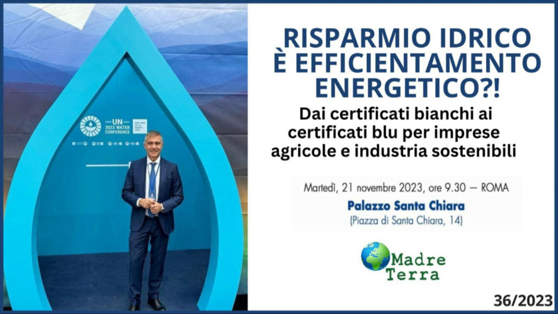 Madre Terra – Dai certificati bianchi a quelli blu per imprese Madre Terra – Dai certificati bianchi a quelli blu per imprese