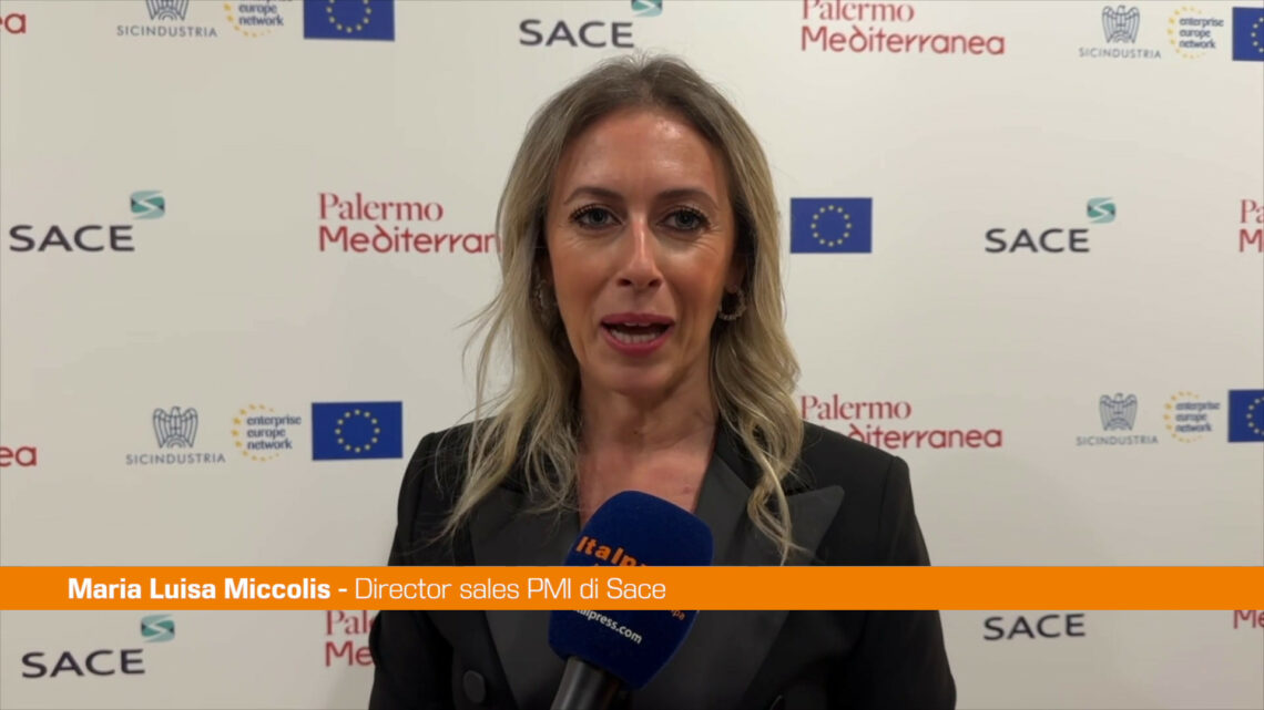 Miccolis “Da Sace nel 2023 sostegno a 1300 aziende siciliane” Miccolis “Da Sace nel 2023 sostegno a 1300 aziende siciliane”
