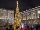 In Piazza del Campidoglio l’Albero dedicato alla Costituzione