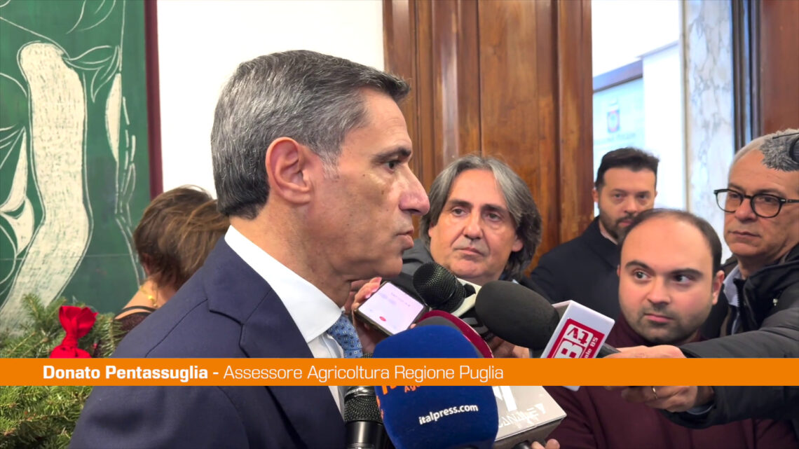 Programma di Sviluppo Rurale, in Puglia raggiunti obiettivi spesa Programma di Sviluppo Rurale, in Puglia raggiunti obiettivi spesa