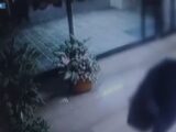 17 furti in appartamento, sgominata banda a Milano