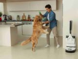Pulizie domestiche 2.0, la tecnologia il migliore alleato degli italiani