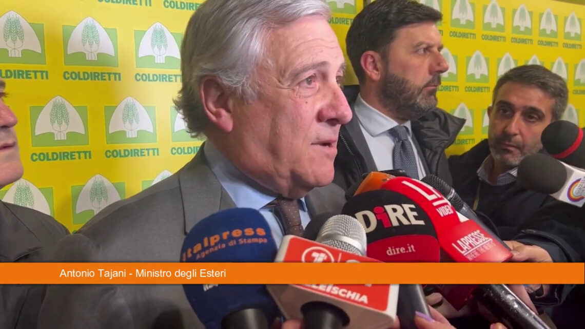 Patto di stabilità, Tajani “Vogliamo firmarlo ma non sia dannoso” Patto di stabilità, Tajani “Vogliamo firmarlo ma non sia dannoso”