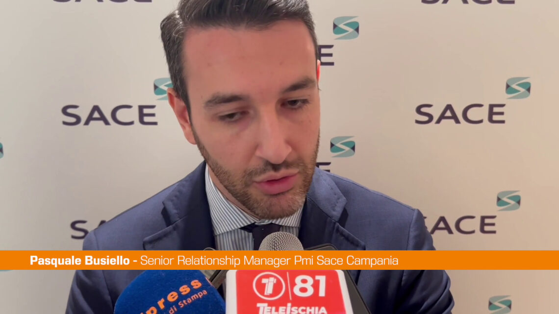 Busiello(Sace) “Sostenibilità e digitalizzazione per crescita imprese” Busiello(Sace) “Sostenibilità e digitalizzazione per crescita imprese”