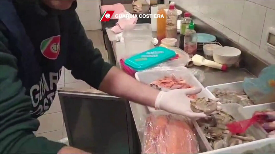 Pesca sicura, controlli e sanzioni della Guardia Costiera Pesca sicura, controlli e sanzioni della Guardia Costiera