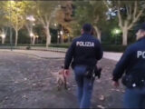 Operazione contro gang giovanili, 40 arresti e 70 denunce