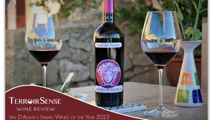 Due etichette di Domini Castellare di Castellina tra i migliori Vini 2023 di Ian D’Agata