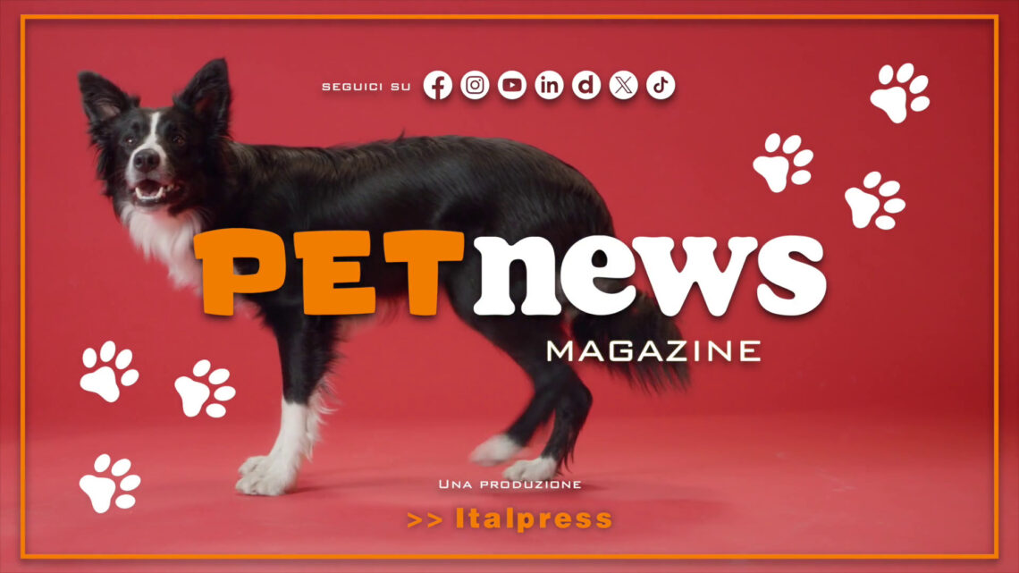PetNews Magazine – 31/1/2024 PetNews Magazine – 31/1/2024