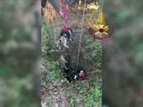 16 metri sotto terra, un cane finisce in un pozzo. Così lo salvano