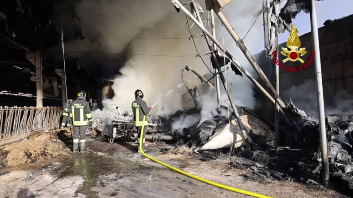 Incendio in azienda agricola nel vicentino, le immagini Incendio in azienda agricola nel vicentino, le immagini